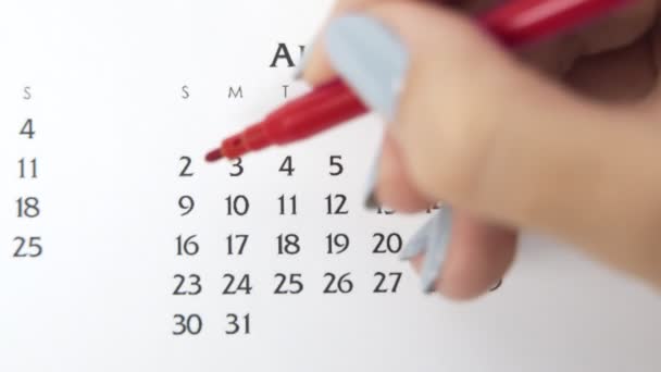 День женского круга в календаре с красным маркером. Планировщик и организатор бизнес-календаря. 9 августа — стоковое видео