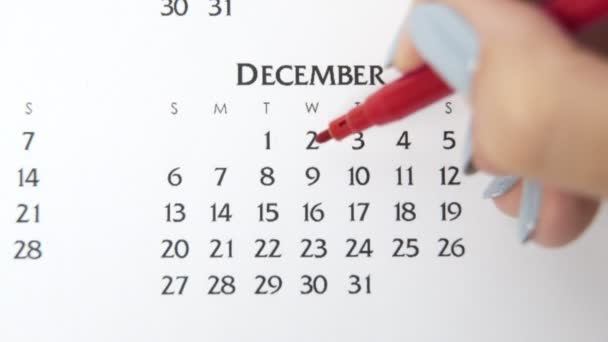 Giorno di cerchio di mano femminile in data di calendario con un marcatore rosso. Business Nozioni di base Wall Calendar Planner e organizzatore. 9 dicembre — Video Stock