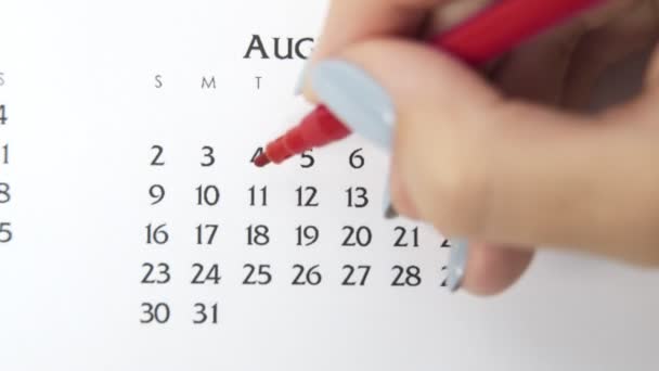 Giorno di cerchio di mano femminile in data di calendario con un marcatore rosso. Business Nozioni di base Wall Calendar Planner e organizzatore. 11 agosto — Video Stock