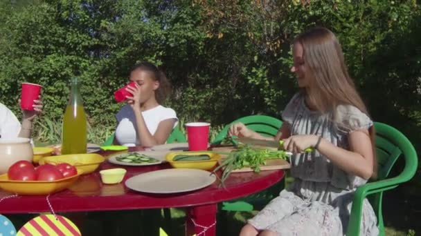 Young woman cuts cucumbers and talks with her girlfriends outdoors — Stock Video