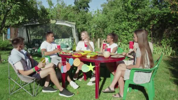 De jeunes amis heureux s'amusent ensemble à boire de la bière et à pique-niquer en plein air — Video