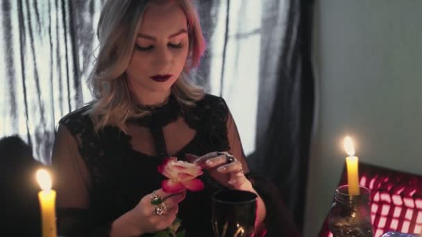 Witch fortune teller psychic picks the petals from a rose, throws them into magic glass and drinks — Stock Video