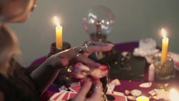 Колдун-гадалка-экстрасенс собирает лепестки из розы, бросает их в волшебное стекло — стоковое видео