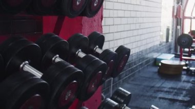 Kas yığını olan kadın spor salonunda bir dambıl seçiyor.