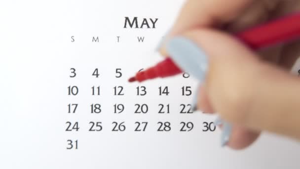 Dia círculo mão feminino em data de calendário com um marcador vermelho. Noções básicas de negócios Wall Calendar Planner and Organizer. 12 de Maio — Vídeo de Stock