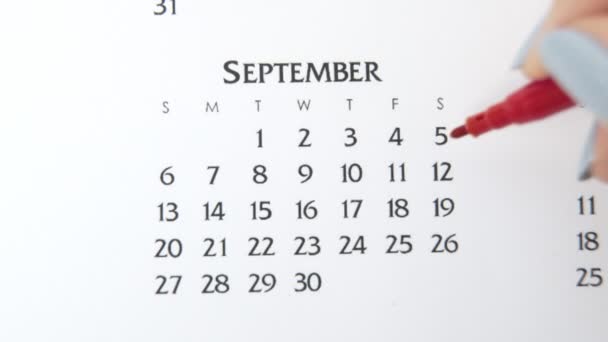 Día de círculo de la mano femenina en la fecha del calendario con un marcador rojo. Conceptos básicos de negocio Wall Calendar Planner and Organizer. 12 de septiembre — Vídeos de Stock