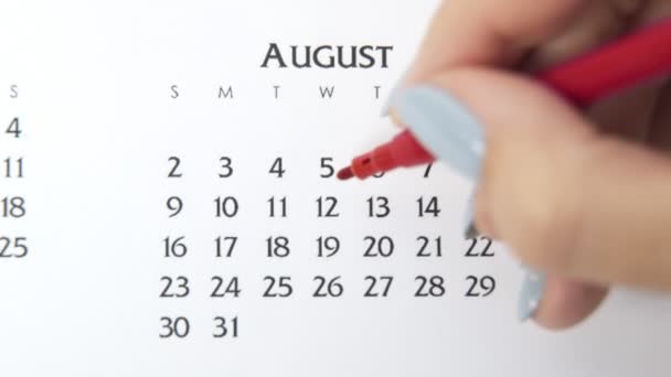 Dia círculo mão feminino em data de calendário com um marcador vermelho. Noções básicas de negócios Wall Calendar Planner and Organizer. 12 de Agosto — Vídeo de Stock