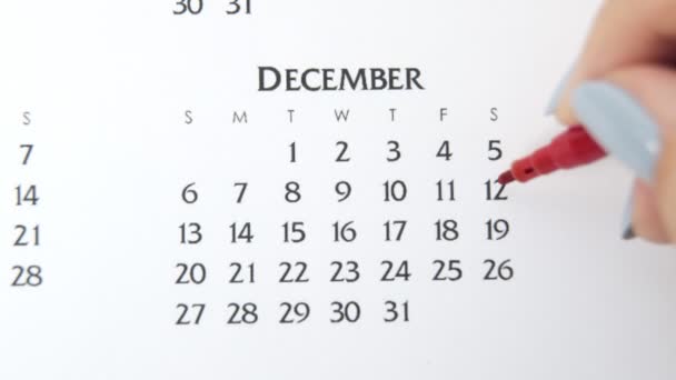 Kvinnlig hand cirkel dag i kalenderdatum med en röd markör. Business Basics Wall Calendar Planerare och arrangör. 12 december. — Stockvideo