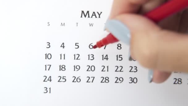 Female hand circle day in calendar date with a red marker. Business Basics Wall Calendar Planner and Organizer. May 13th — Stock Video