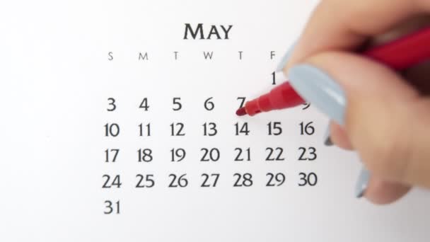 Día de círculo de la mano femenina en la fecha del calendario con un marcador rojo. Conceptos básicos de negocio Wall Calendar Planner and Organizer. 14 de mayo — Vídeos de Stock