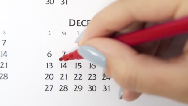 Жіночий день кола в календарі з червоним маркером. Основи бізнесу Настінний календар Планувальник і Організатор. 14 грудня — стокове відео