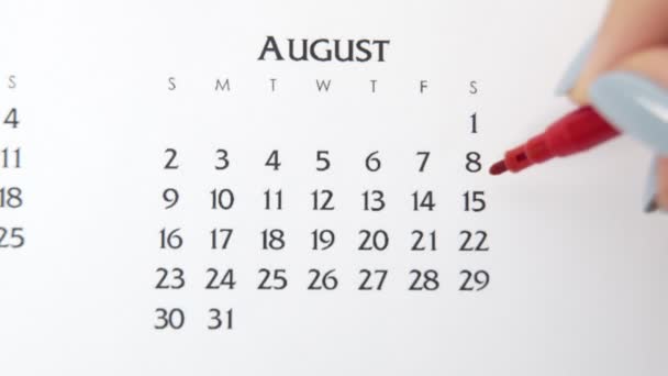 วันวงกลมมือผู้หญิงในวันปฏิทินที่มีเครื่องหมายสีแดง แผนผังปฏิทินพื้นฐานทางธุรกิจและผู้จัดงาน 15 สิงหาคม — วีดีโอสต็อก