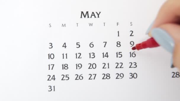 Femme cercle de main jour dans la date du calendrier avec un marqueur rouge. Business Basics Planificateur et organisateur de calendrier mural. 16 mai — Video