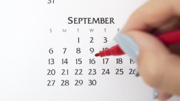 Dia círculo mão feminino em data de calendário com um marcador vermelho. Noções básicas de negócios Wall Calendar Planner and Organizer. 16 de Setembro — Vídeo de Stock