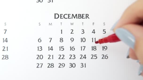 Wanita lingkaran tangan hari dalam tanggal kalender dengan penanda merah. Business Basics Wall Calendar Planner and Organizer (dalam bahasa Inggris). 18 Desember — Stok Video