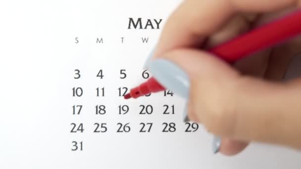 Kvinnelig sirkeldag i kalenderdato med rød markør. Business Basics Wall Kalender Planlegger og Organizer. 19. mai – stockvideo