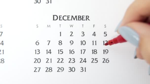 Kvinnlig hand cirkel dag i kalenderdatum med en röd markör. Business Basics Wall Calendar Planerare och arrangör. 19 december. — Stockvideo