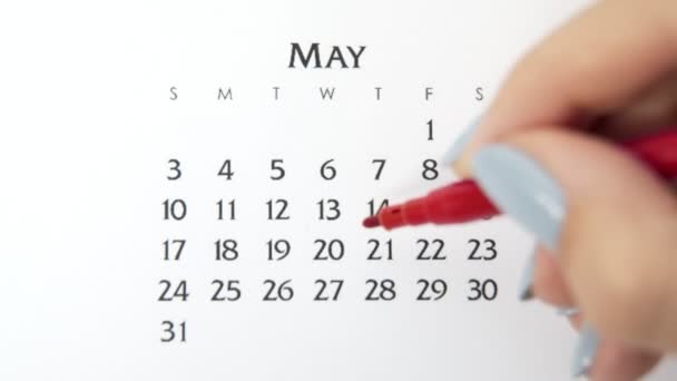 Weiblicher Handkreistag im Kalenderdatum mit roter Markierung. Business Basics Wall Calendar Planer und Organisator. 20. Mai — Stockvideo