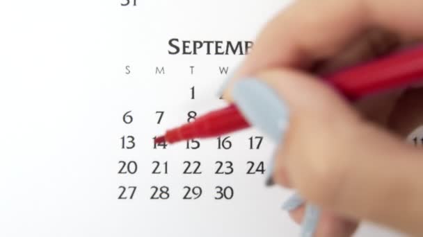 Día de círculo de la mano femenina en la fecha del calendario con un marcador rojo. Conceptos básicos de negocio Wall Calendar Planner and Organizer. 20 de septiembre — Vídeos de Stock