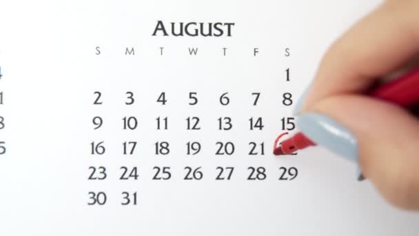 Kvinnlig hand cirkel dag i kalenderdatum med en röd markör. Business Basics Wall Calendar Planerare och arrangör. 22 augusti. — Stockvideo