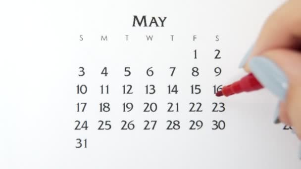 Día de círculo de la mano femenina en la fecha del calendario con un marcador rojo. Conceptos básicos de negocio Wall Calendar Planner and Organizer. 23 de mayo — Vídeos de Stock