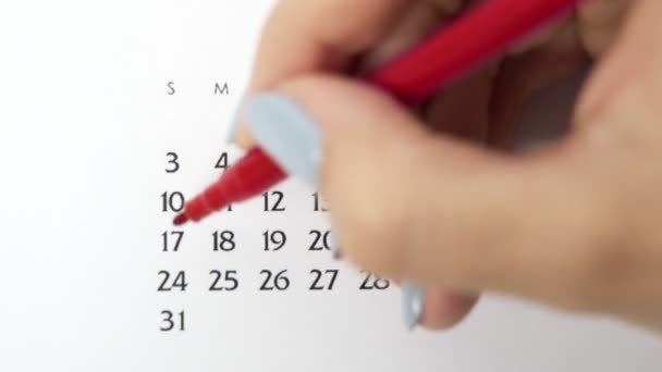 赤いマーカーでカレンダー日付の女性の手の円の日。ビジネスの基本壁カレンダープランナーと主催者。5月24日 — ストック動画