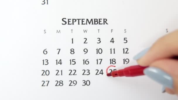 Kvinnlig hand cirkel dag i kalenderdatum med en röd markör. Business Basics Wall Calendar Planerare och arrangör. 25 september. — Stockvideo