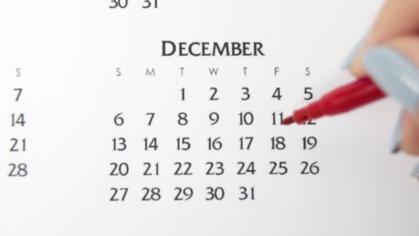 赤いマーカーでカレンダー日付の女性の手の円の日。ビジネスの基本壁カレンダープランナーと主催者。12月25日 — ストック動画