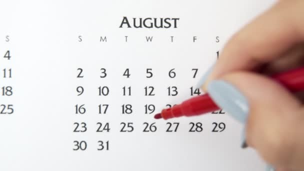 Vrouwelijke handcirkeldag in kalenderdatum met een rode stift. Business Basics Wall Calendar Planner en Organisator. 26 augustus — Stockvideo