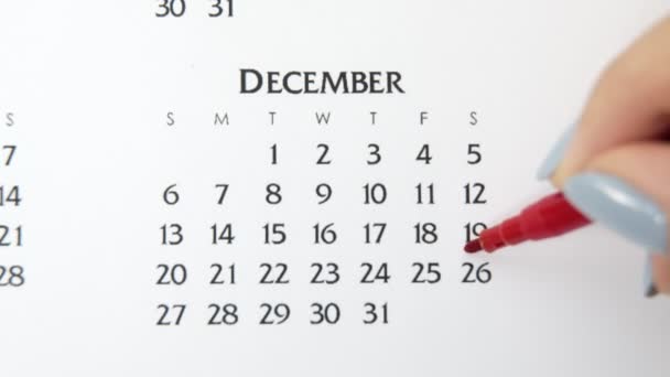 Wanita lingkaran tangan hari dalam tanggal kalender dengan penanda merah. Business Basics Wall Calendar Planner and Organizer (dalam bahasa Inggris). 26 Desember — Stok Video