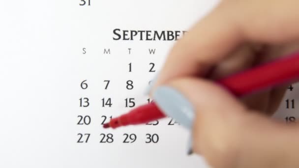 Día de círculo de la mano femenina en la fecha del calendario con un marcador rojo. Conceptos básicos de negocio Wall Calendar Planner and Organizer. 27 de septiembre — Vídeos de Stock