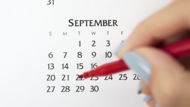Dia círculo mão feminino em data de calendário com um marcador vermelho. Noções básicas de negócios Wall Calendar Planner and Organizer. 28 de Setembro — Vídeo de Stock