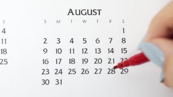 Día de círculo de la mano femenina en la fecha del calendario con un marcador rojo. Conceptos básicos de negocio Wall Calendar Planner and Organizer. 28 de agosto — Vídeo de stock