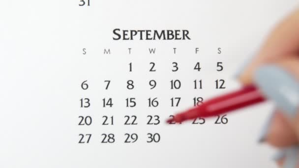 Giorno di cerchio di mano femminile in data di calendario con un marcatore rosso. Business Nozioni di base Wall Calendar Planner e organizzatore. 29 settembre — Video Stock
