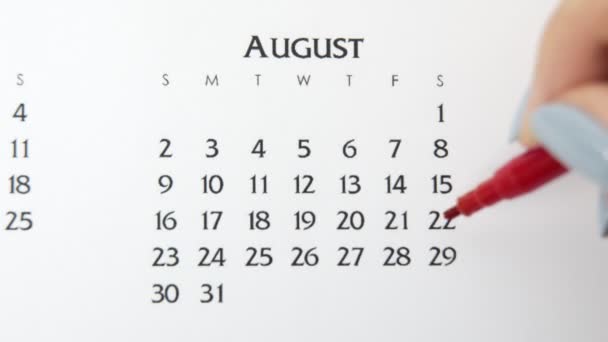 Día de círculo de la mano femenina en la fecha del calendario con un marcador rojo. Conceptos básicos de negocio Wall Calendar Planner and Organizer. 29 de agosto — Vídeos de Stock