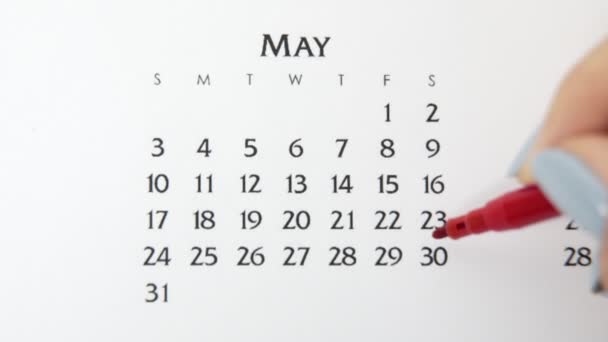 Női kéz kör nap naptár dátum egy piros marker. Üzleti alapok Falinaptár tervező és szervező. Május 30. — Stock videók
