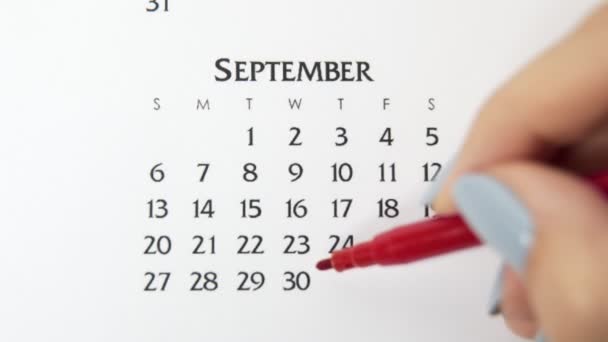 Takvimde kırmızı kalemli bir kadın el çemberi günü. İş Temel Duvar Takvimi Planlayıcı ve Düzenleyici. 30 Eylül — Stok video