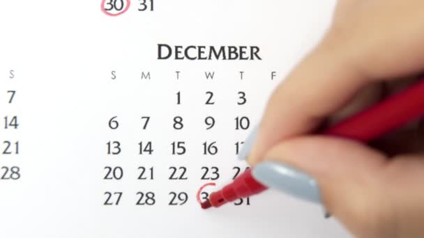 Kvinnlig hand cirkel dag i kalenderdatum med en röd markör. Business Basics Wall Calendar Planerare och arrangör. 30 december — Stockvideo
