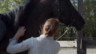 Beyaz gömlekli bir kadının açık havada siyah atına dokunuşunun arka görüntüsü.