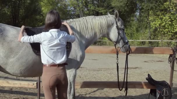 Молодая женщина-всадница посадила на лошадь повозку и седло — стоковое видео
