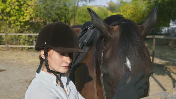 Mujer jinete en ropa de montar y casco acariciando su caballo y mira a la cámara — Vídeo de stock