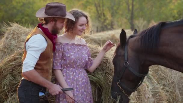 Hezký kovboj ukazuje svého koně krásné ženě — Stock video