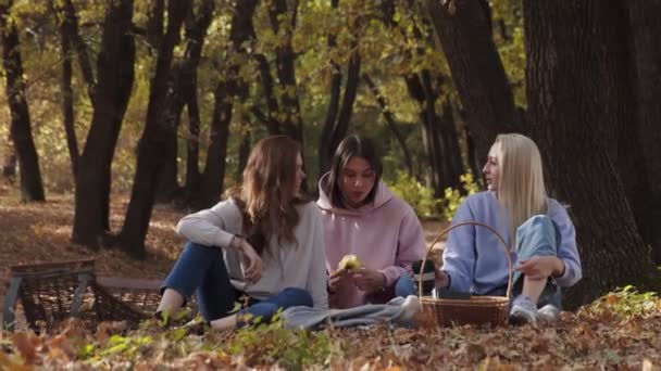 Jóvenes amigas en un picnic en el bosque de otoño en un parque de la ciudad. — Vídeo de stock