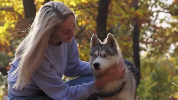 Young woman sitting and posing with husky dog in beautiful autumn park forest. — Stock Video