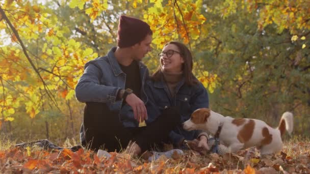 Pareja joven con lindo gato russell terrier perro en otoño parque — Vídeo de stock