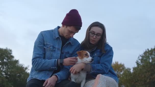 年轻的男男女女带着杰克 · 罗斯塞尔的宠物狗晚上坐在草堆上 — 图库视频影像