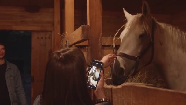 Ung kvinna tar ett foto av vit häst i stallet — Stockvideo