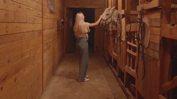 Jeune femme blonde nourrit un cheval blanc dans l'écurie le soir — Video