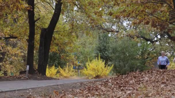 Two athletic fit women running together in autumn park — Stock Video