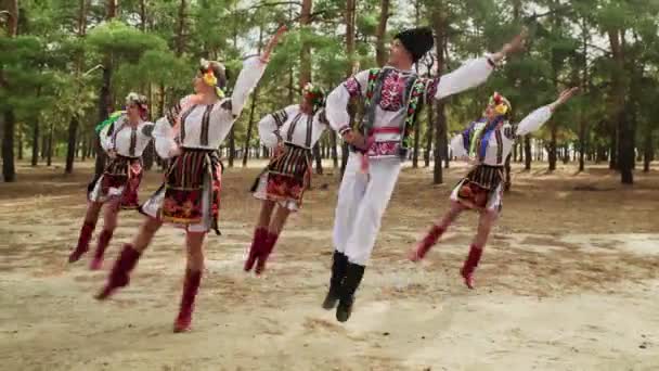 Four young women and one man in traditional costumes are dancing Ukrainian national dances — Stock Video
